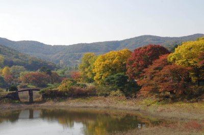 전통정원 희원 가을 나들이 - 수변공원 19