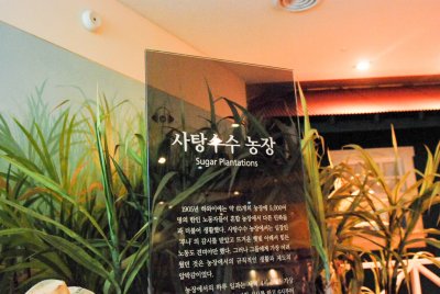 한국이민사박물관 극복과정착 15
