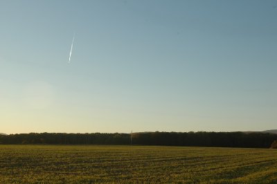 슈발바흐의 밀밭 11