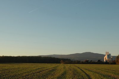 슈발바흐의 밀밭 16