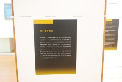 서울대학교박물관 특별기획전시 동물표본 전시 01