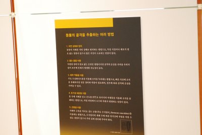 서울대학교박물관 특별기획전시 동물표본 전시 06