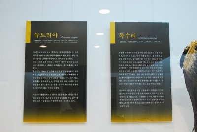 서울대학교박물관 특별기획전시 동물표본 전시 04