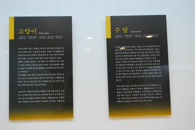 서울대학교박물관 특별기획전시 동물표본 전시 12