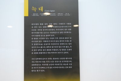 서울대학교박물관 특별기획전시 동물표본 전시 17