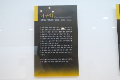 Seoul University Museum 09