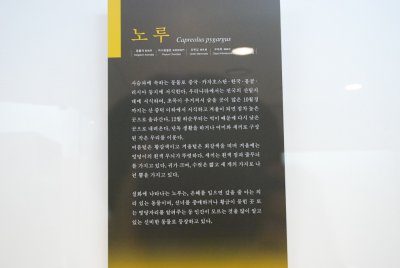 Seoul University Museum 14