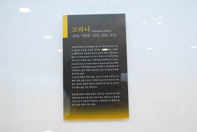 Seoul University Museum 19