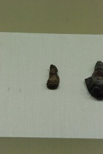 서울대학교 박물관 특별전시 발굴조사 반세기 회고전 10
