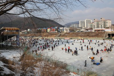 청평 눈썰매 송어 빙어 축제 2015 10