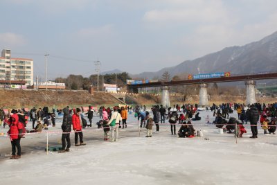 청평 눈썰매 송어 빙어 축제 2015 11