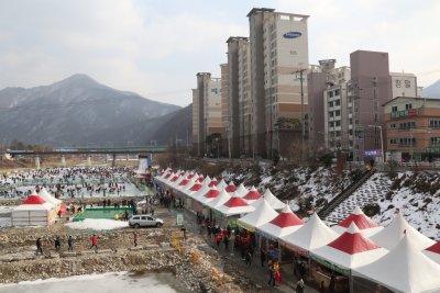 청평 눈썰매 송어 빙어 축제 2015 14