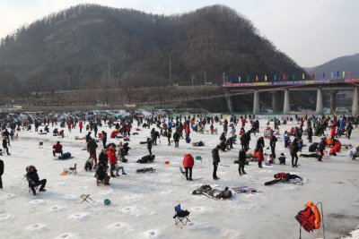 북한강 대성리 송어축제 2015 04