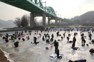 북한강 대성리 송어축제 2015 08