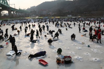 북한강 대성리 송어축제 2015 09