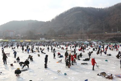 북한강 대성리 송어축제 2015 10