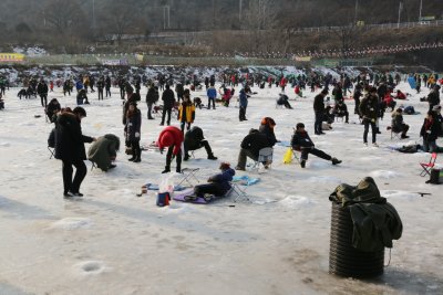 북한강 대성리 송어축제 2015 03