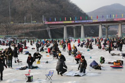 북한강 대성리 송어축제 2015 14