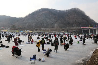 북한강 대성리 송어축제 2015 04