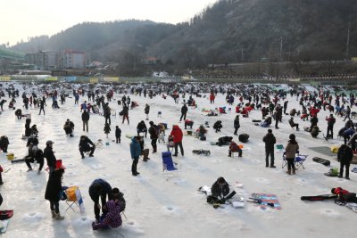 북한강 대성리 송어축제 2015 02