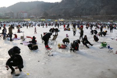 북한강 대성리 송어축제 2015 16