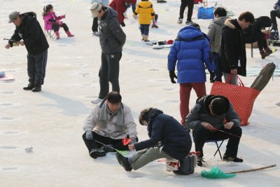 북한강 대성리 송어축제 2015 07