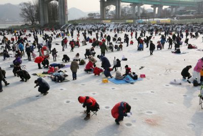 북한강 대성리 송어축제 2015 11