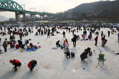 북한강 대성리 송어축제 2015 12