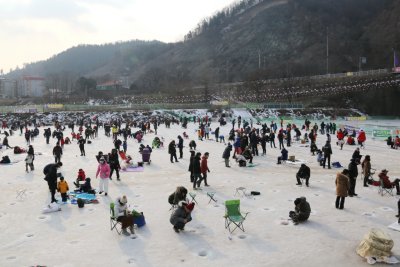북한강 대성리 송어축제 2015 15