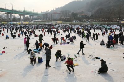 북한강 대성리 송어축제 2015 18