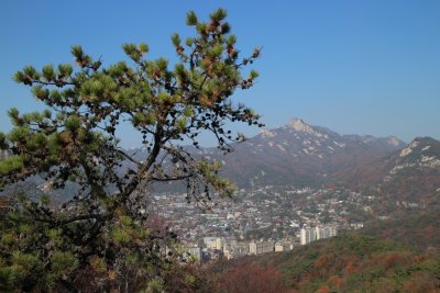 북악산 팔각정 11