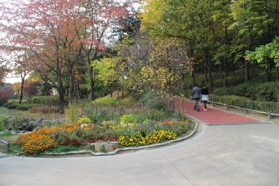 남산 야외식물원 17