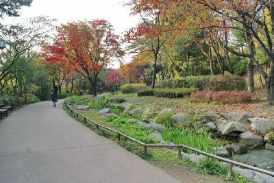 남산 야외식물원 18