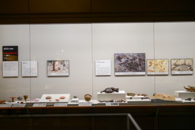 오사카 역사박물관 03