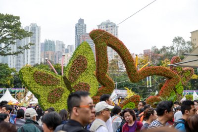 2015 홍콩 꽃 페스티벌 16