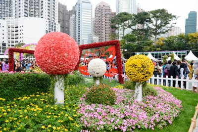 2015 홍콩 꽃 페스티벌 18