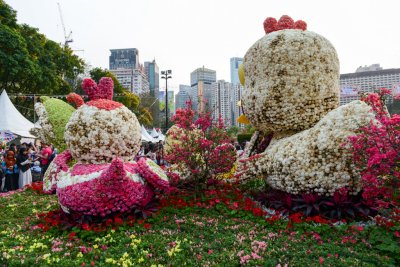 2015 홍콩 꽃 페스티벌 11