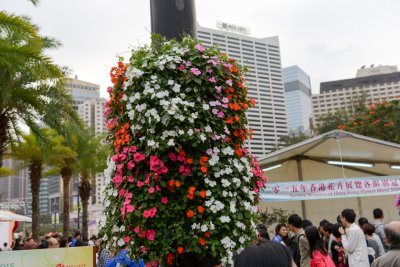 2015 홍콩 꽃 페스티벌 18