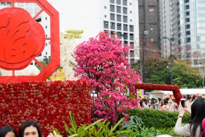 2015 홍콩 꽃 페스티벌 02