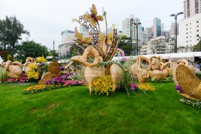 2015 홍콩 꽃 페스티벌 07