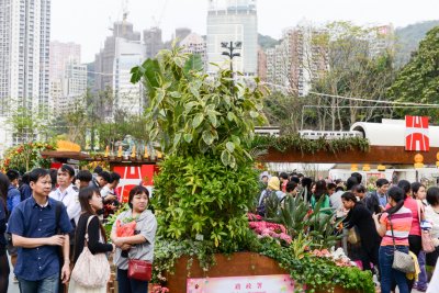 2015 홍콩 꽃 페스티벌 13