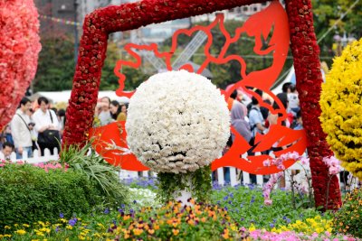 2015 홍콩 꽃 페스티벌 10