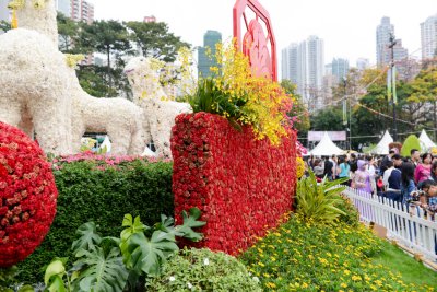 2015 홍콩 꽃 페스티벌 19