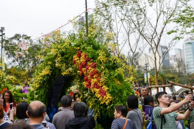 2015 홍콩 꽃 페스티벌 06