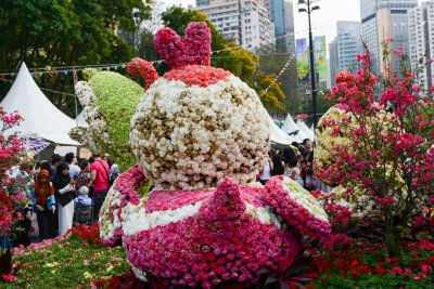 2015 홍콩 꽃 페스티벌 07