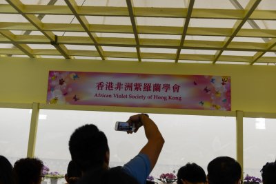 2015 홍콩 꽃 페스티벌 12
