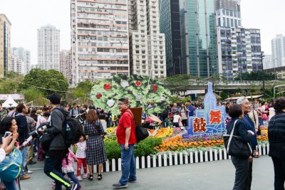 2015 홍콩 꽃 페스티벌 15