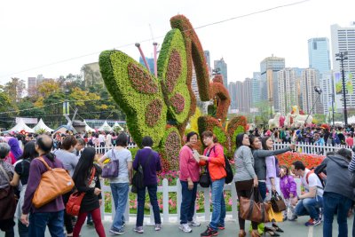 2015 홍콩 꽃 페스티벌 04