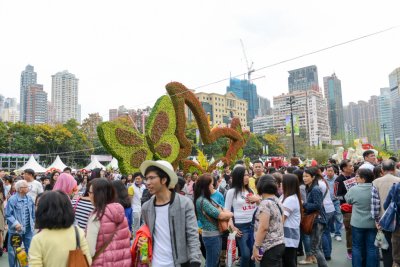 2015 홍콩 꽃 페스티벌 17