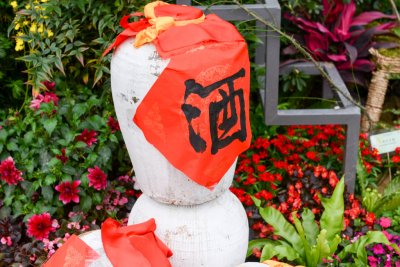 2015 홍콩 꽃 페스티벌 12